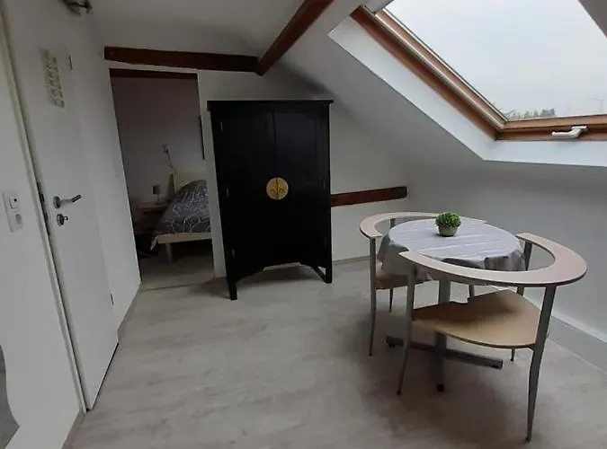 Studio Apartment Apartment