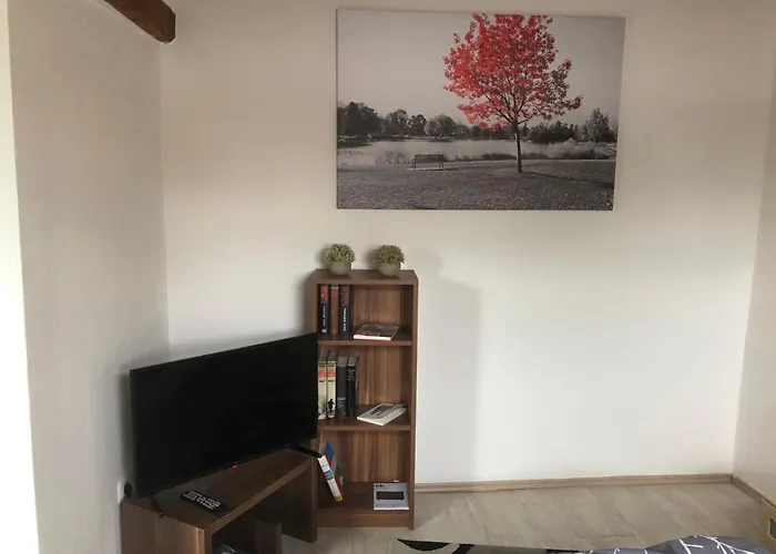 Studio Apartment Daire